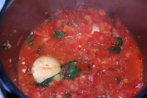 Tomatensoße aus frischen Zutaten im Kochtopf